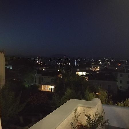 Villa Metaxa Spetses Town Bagian luar foto