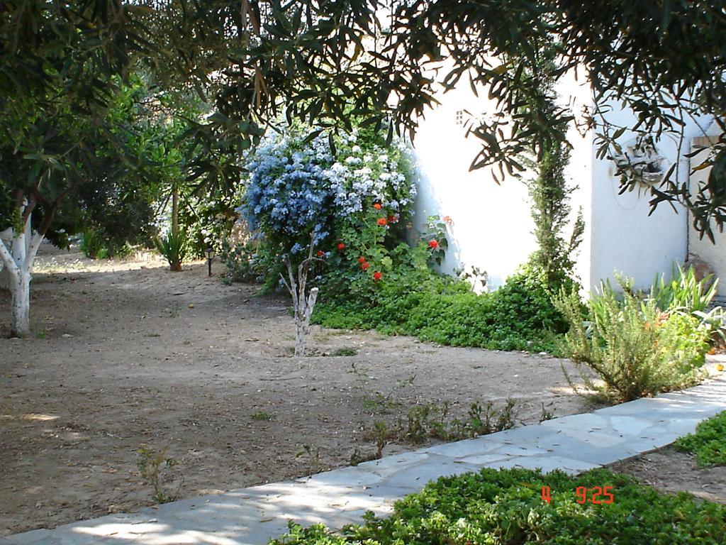 Villa Metaxa Spetses Town Bagian luar foto