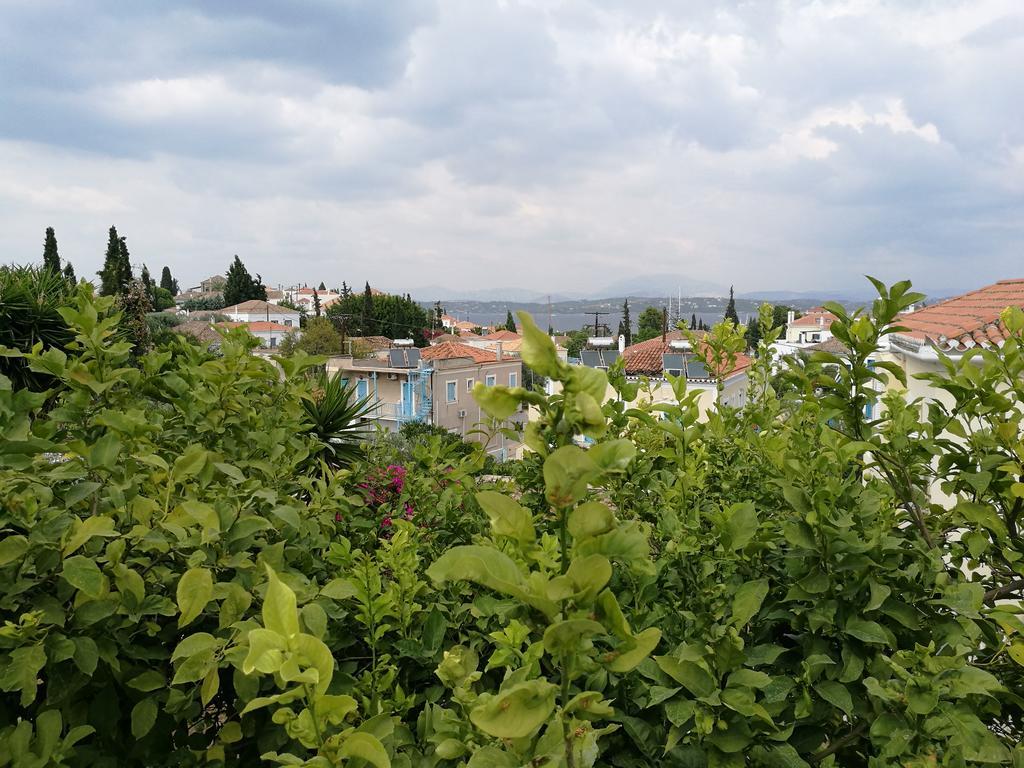 Villa Metaxa Spetses Town Bagian luar foto