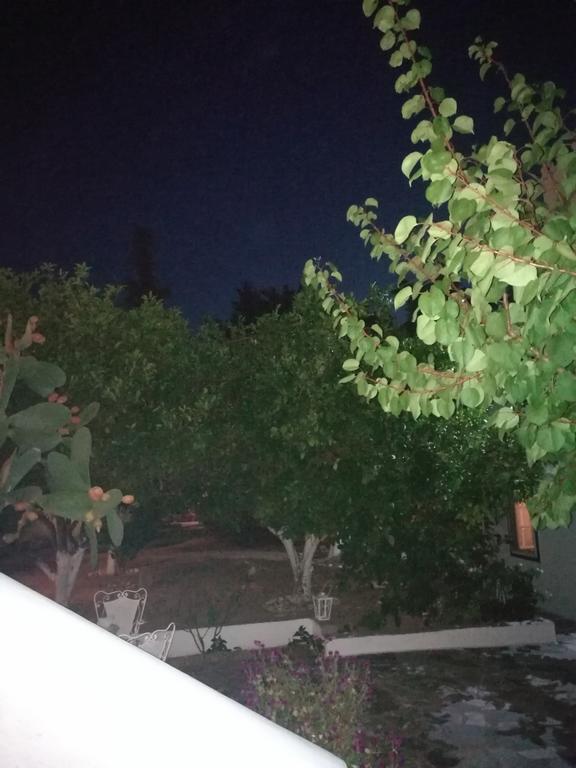 Villa Metaxa Spetses Town Bagian luar foto